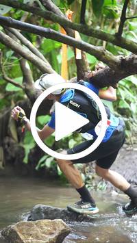 BIB:  <button type="button" onclick="openModal(27531157)" class="btn btn-primary btn-sm float-right" data-toggle="modal" data-target=".modal-high-quality">
                <i class="fa fa-download"></i> Download
                </button>